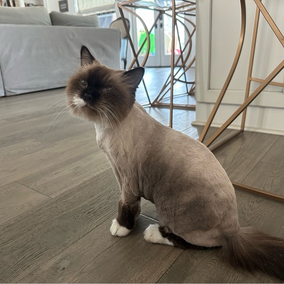 Meet your Posher, Ellen - Picture 2 of 2